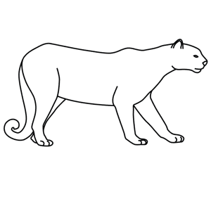 carnivore animals drawing