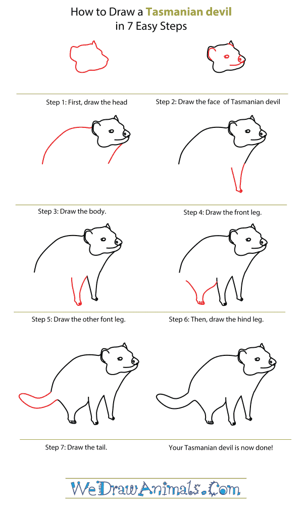 How To Draw A Tasmanian Devil - Step-By-Step Tutorial