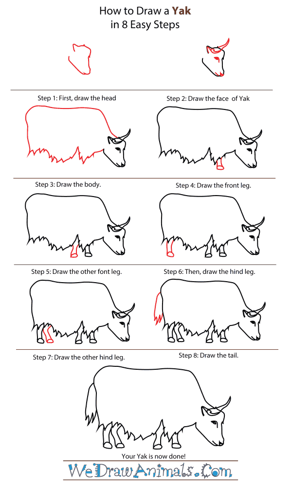 How To Draw A Yak - Step-By-Step Tutorial