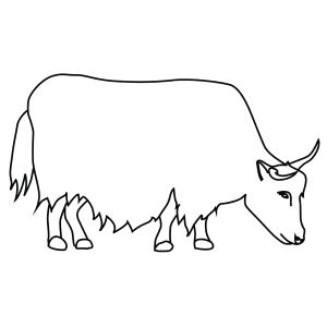 How To Draw A Yak - Step-By-Step Tutorial