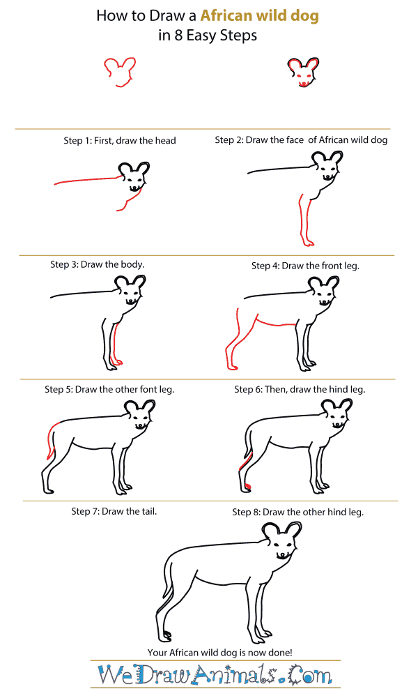 How To Draw An African Wild Dog - Step-By-Step Tutorial