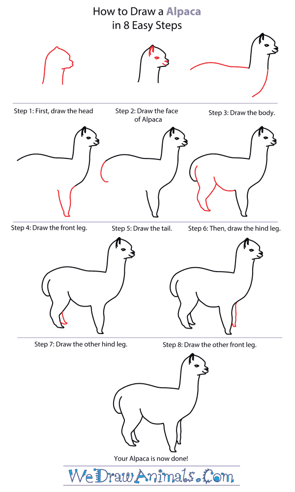 How To Draw An Alpaca - Step-By-Step Tutorial