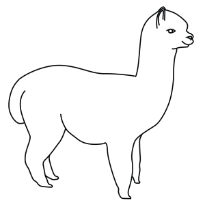 How To Draw An Alpaca - Step-By-Step Tutorial