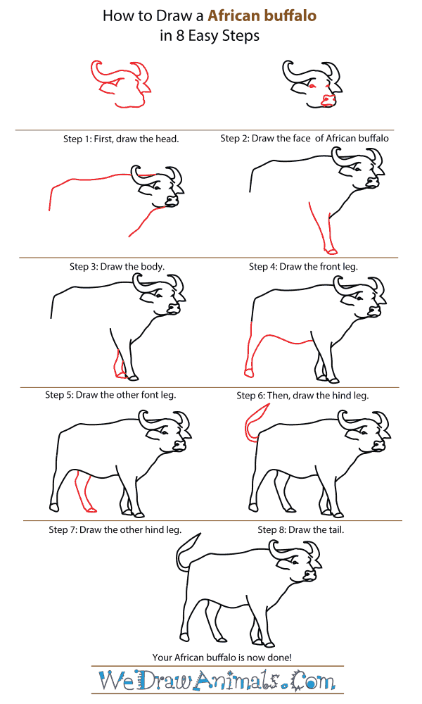 How To Draw An African buffalo - Step-By-Step Tutorial