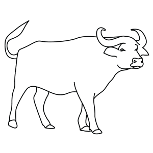 How To Draw An African Buffalo - Step-By-Step Tutorial