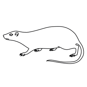 How To Draw An Arboreal Spiny Rat - Step-By-Step Tutorial