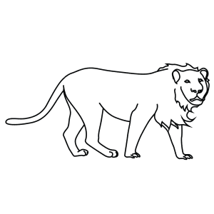 How To Draw An Asian Lion - Step-By-Step Tutorial