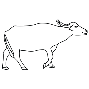 How To Draw An Asian Water Buffalo - Step-By-Step Tutorial