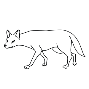 How To Draw An Asiatic Jackal - Step-By-Step Tutorial