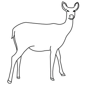 How To Draw A Barasingha Deer - Step-By-Step Tutorial