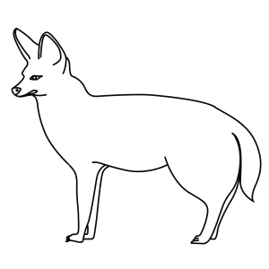 How To Draw A Bat Eared Fox - Step-By-Step Tutorial