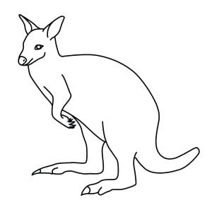 How To Draw A Bennett'S Wallaby - Step-By-Step Tutorial