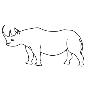 How To Draw A Black Rhinoceros - Step-By-Step Tutorial