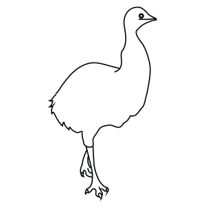 How To Draw An Emu - Step-By-Step Tutorial