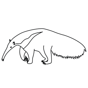 How To Draw A Giant Anteater - Step-By-Step Tutorial