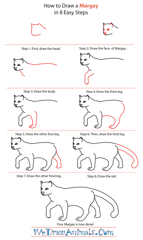 How To Draw A Margay - Step-By-Step Tutorial