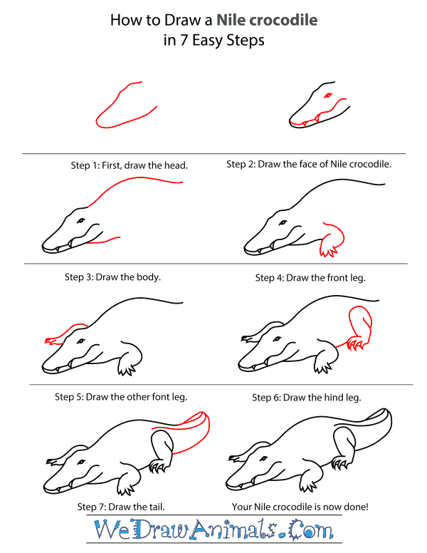 How To Draw A Nile crocodile - Step-By-Step Tutorial