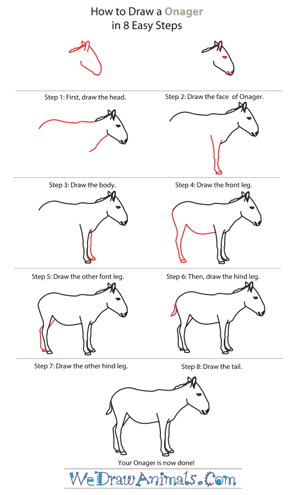 How To Draw An Onager - Step-By-Step Tutorial