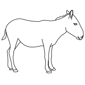 How To Draw An Onager - Step-By-Step Tutorial