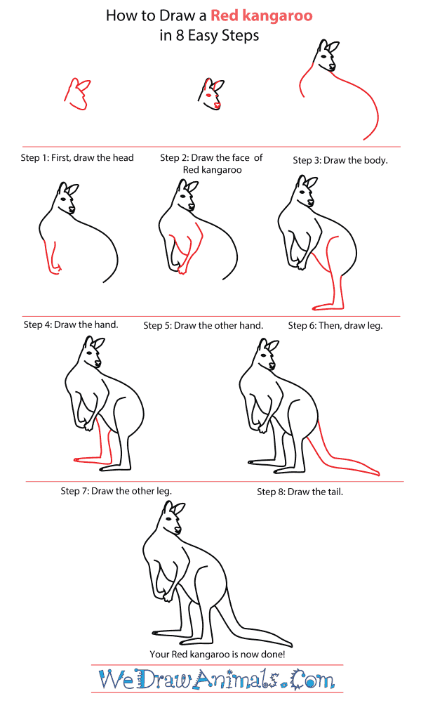 How To Draw A Red kangaroo - Step-By-Step Tutorial