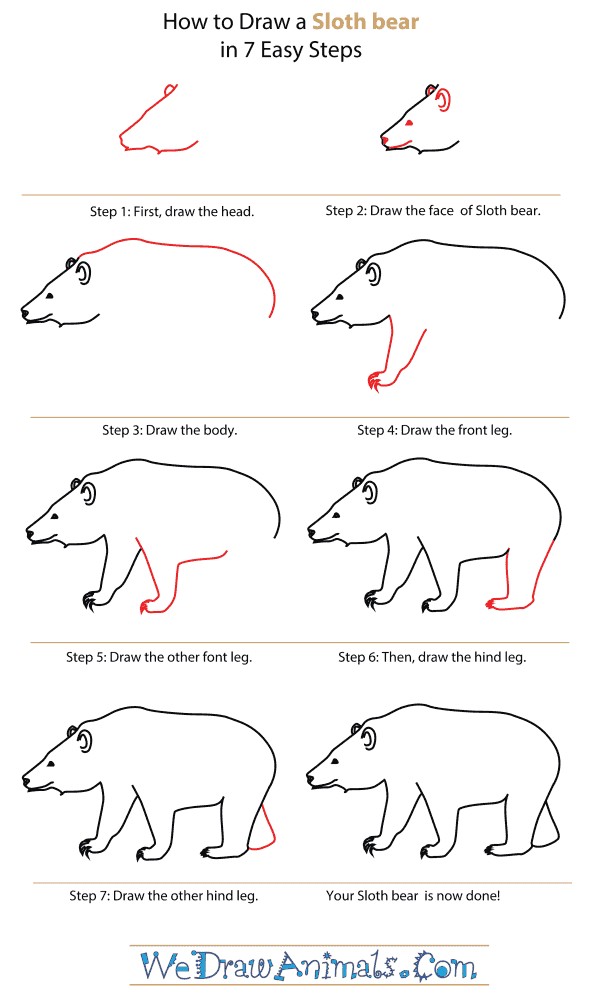 How To Draw A Sloth bear - Step-By-Step Tutorial
