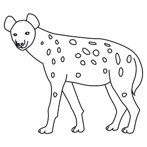 How To Draw A Spotted Hyena 01 - Step-By-Step Tutorial