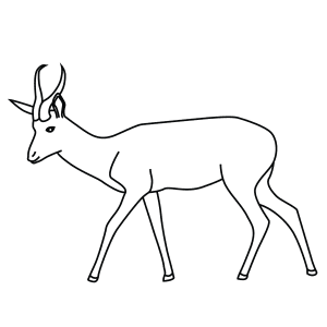 How To Draw A Springbok - Step-By-Step Tutorial