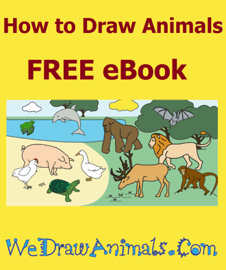 how-to-draw-animals-ebook-330