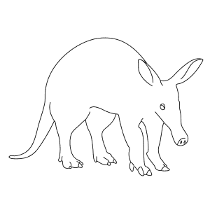 How To Draw an Aardvark - Step-By-Step Tutorial