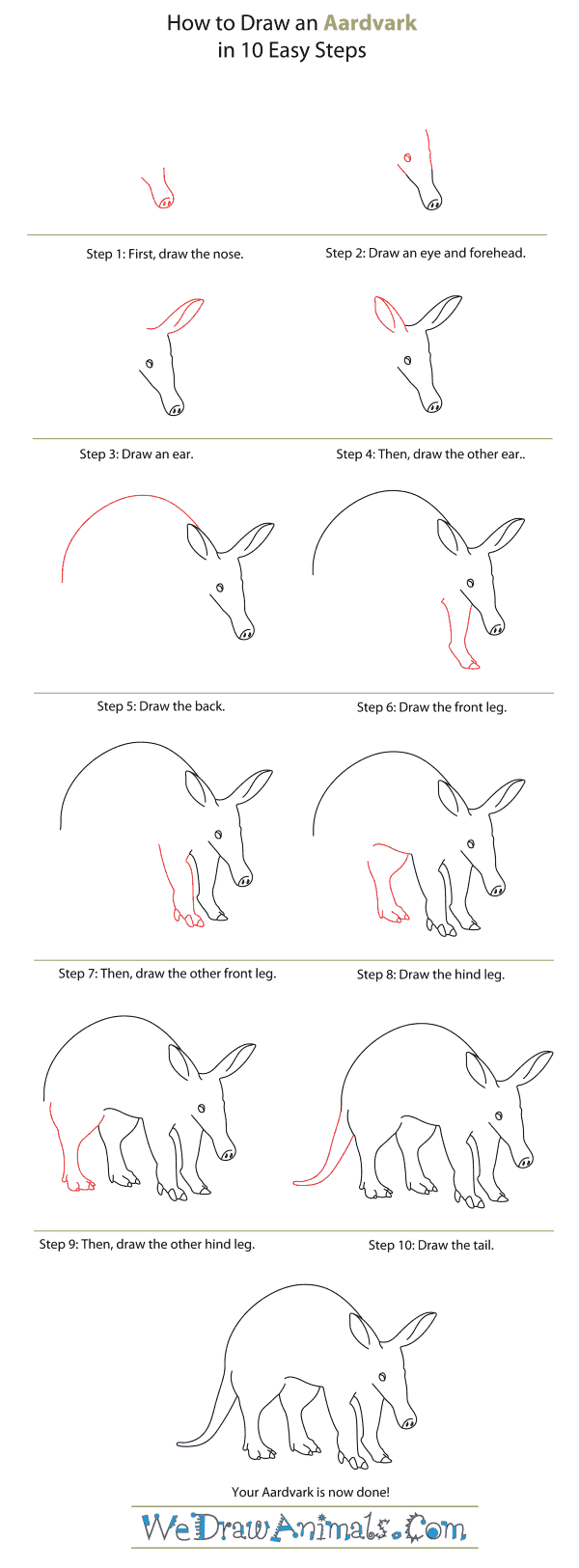 How to Draw an Aardvark - Step-By-Step Tutorial