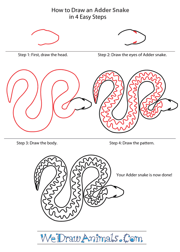 How to Draw an Adder - Step-By-Step Tutorial