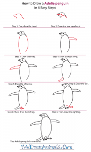 How to Draw an Adelie Penguin