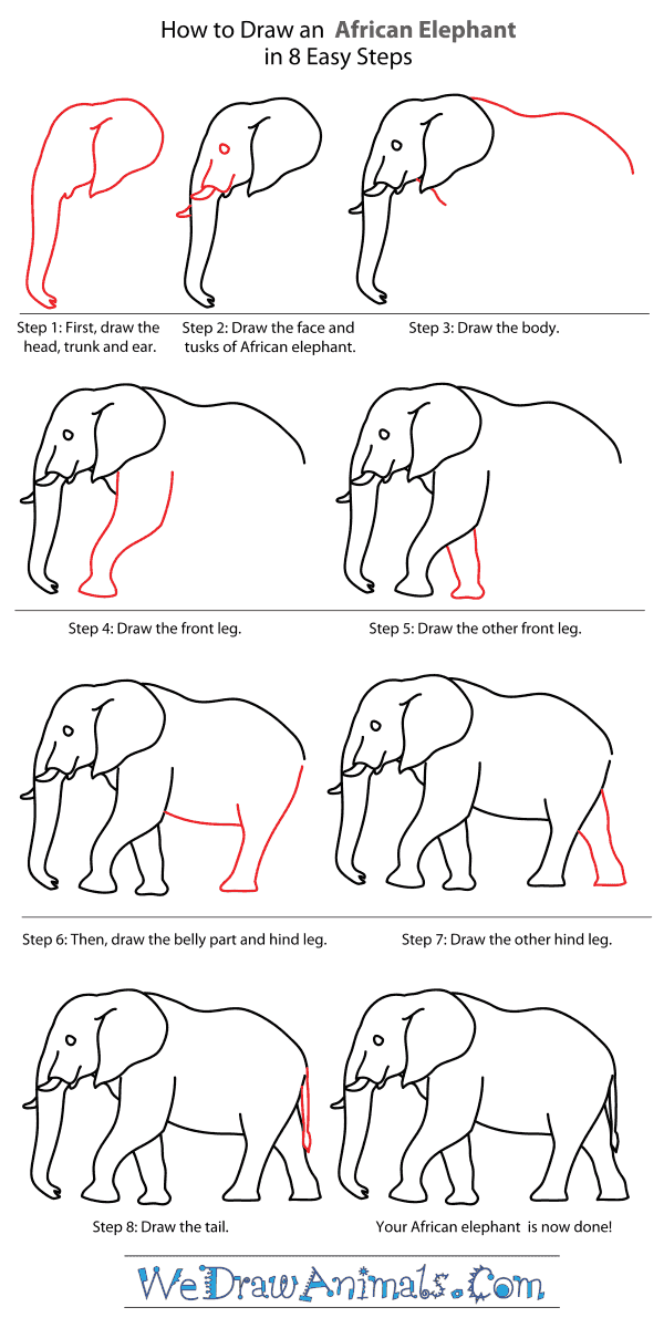 How to Draw an African Elephant - Step-By-Step Tutorial
