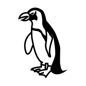 How To Draw an African Penguin - Step-By-Step Tutorial