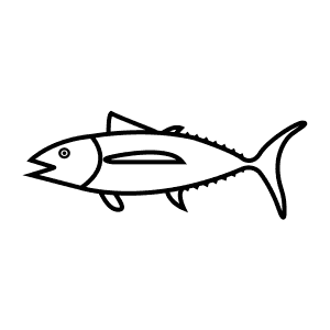 How To Draw an Albacore Tuna - Step-By-Step Tutorial