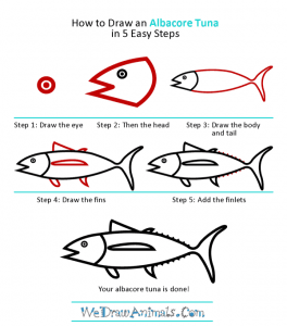 How to Draw an Albacore Tuna