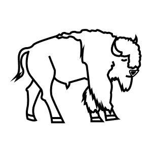 How To Draw an American Bison - Step-By-Step Tutorial