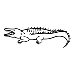 How To Draw an American Crocodile - Step-By-Step Tutorial