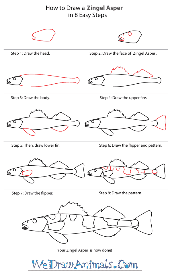 How to Draw an Apron - Step-By-Step Tutorial
