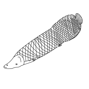 How To Draw an Arapaima - Step-By-Step Tutorial