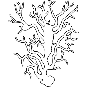 How To Draw a Black Coral - Step-By-Step Tutorial