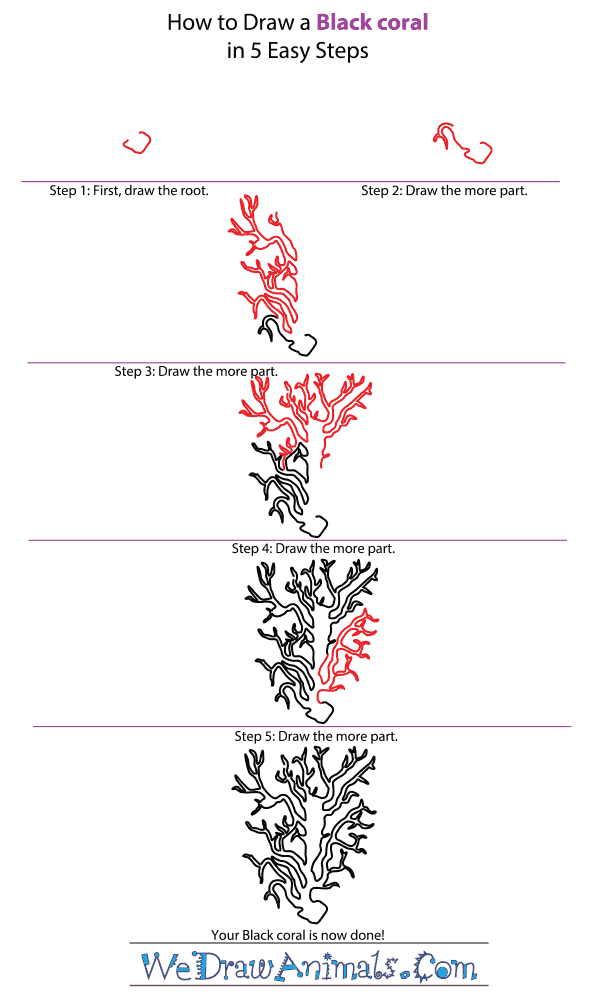 How to Draw a Black Coral - Step-by-Step Tutorial