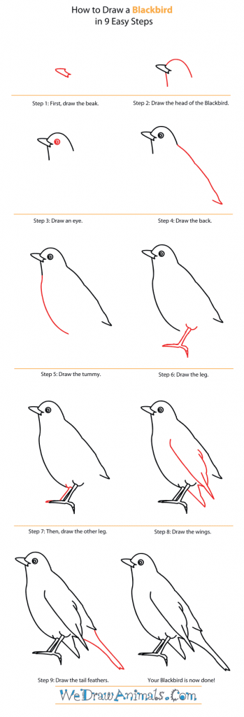 How to Draw a Blackbird