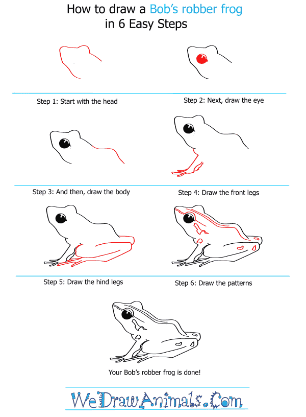 How to Draw a Bob's Robber Frog - Step-By-Step Tutorial
