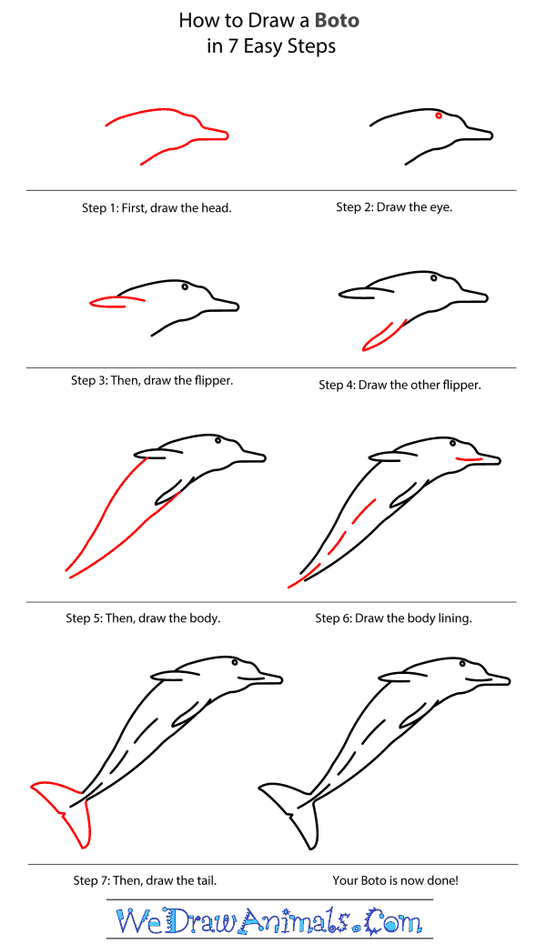 How to Draw a Boto - Step-by-Step Tutorial
