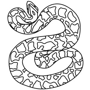 How To Draw a Burmese Python - Step-By-Step Tutorial