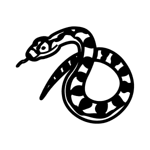 How To Draw a Carpet Python - Step-By-Step Tutorial