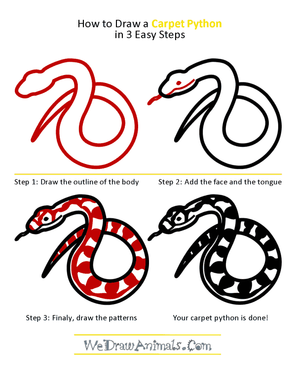 How to Draw a Carpet Python - Step-by-Step Tutorial