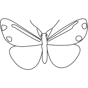 How To Draw a Cinnabar Moth - Step-By-Step Tutorial