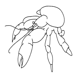 How To Draw a Coconut Crab - Step-By-Step Tutorial